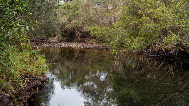 A1V07856.jpg