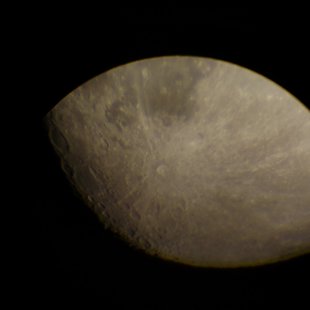DSC_0027.jpg