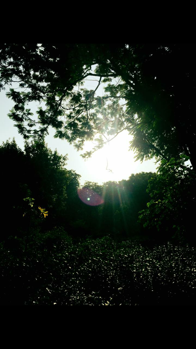 IMG_1563.PNG