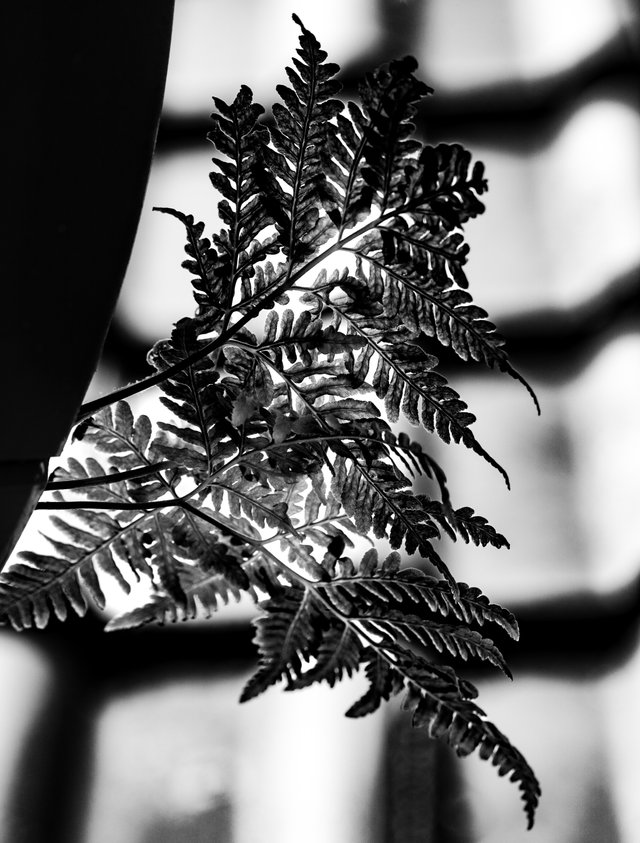 _DSC7669.jpg