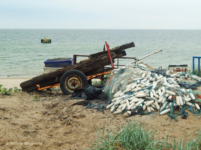 DSCN4393.JPG