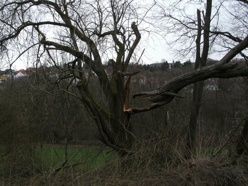 Kein Bild