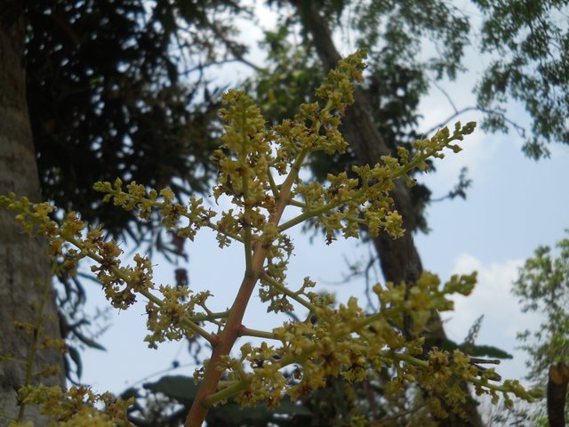 DSCN3781.JPG