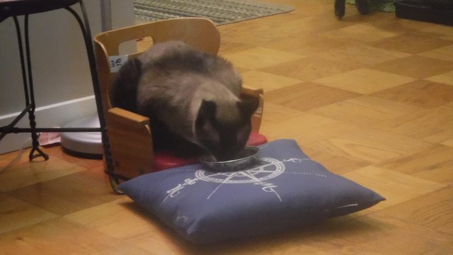DSCF7137.JPG