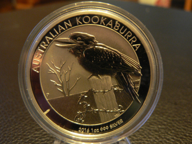 P1000257.JPG
