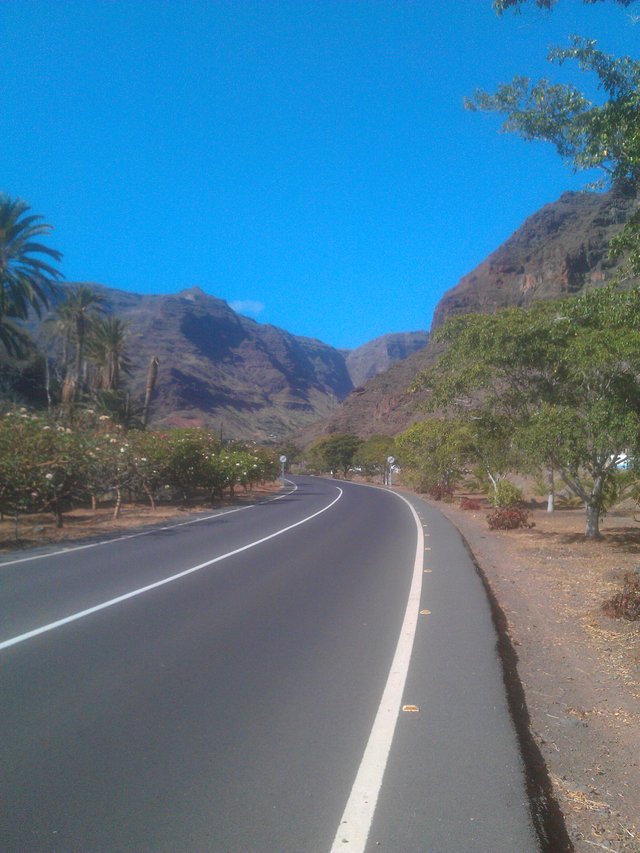 IMAG0928.jpg