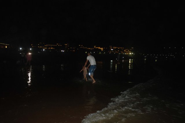 DSCF9761.jpg