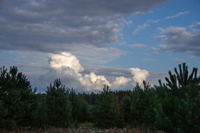 DSC09675.jpg