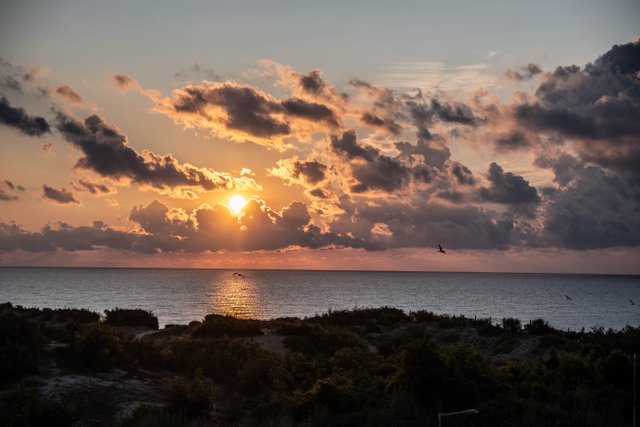 DSC_5490.jpg