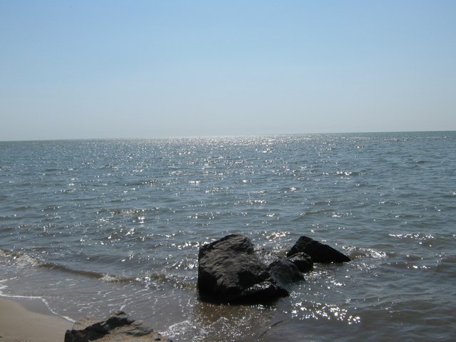 IMG_9520.JPG