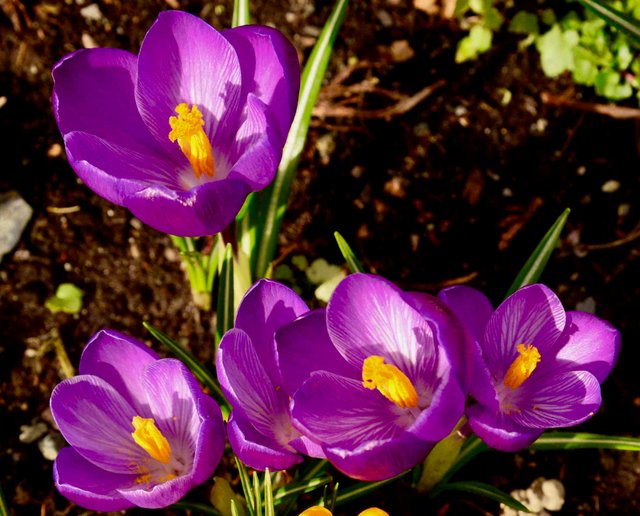 DSC_9826.jpg
