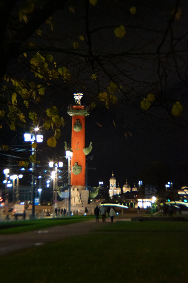 DSC00901.jpg