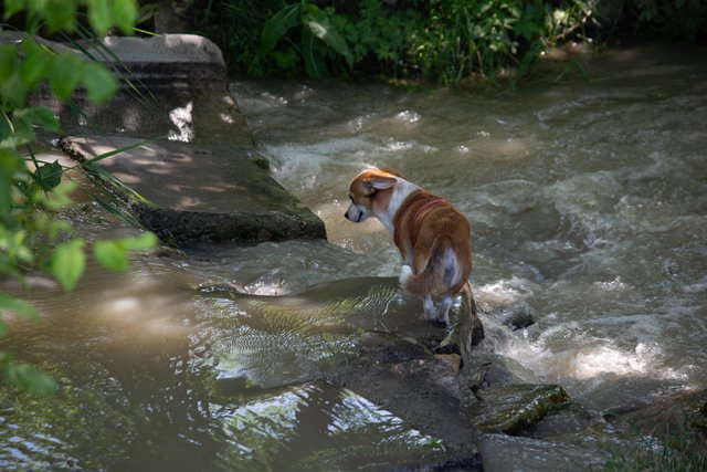 DSC_0142.jpg
