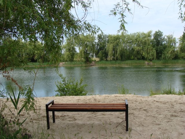 DSC04945.JPG