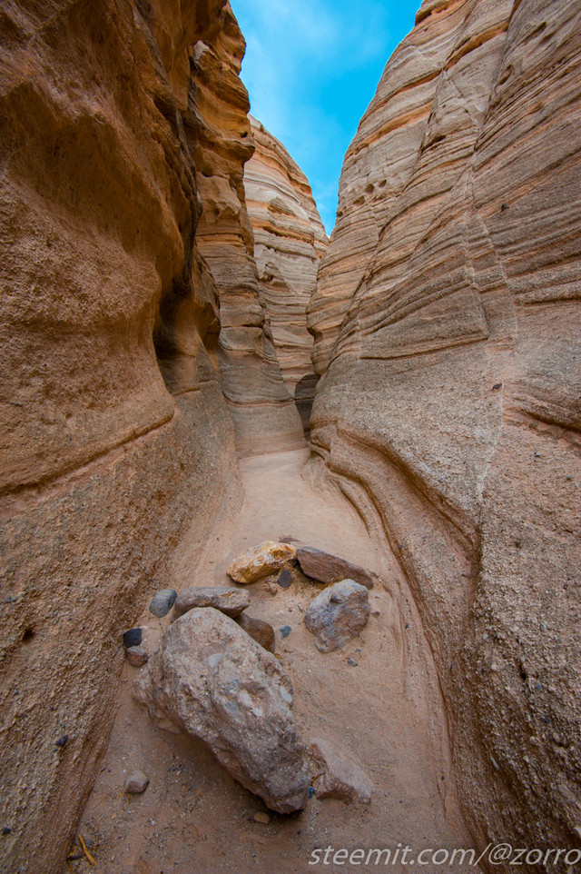 DSC_3220.jpg