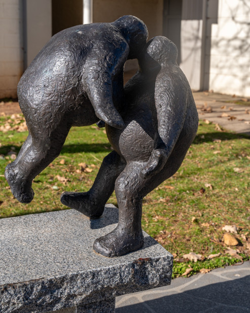 A1V06919.jpg