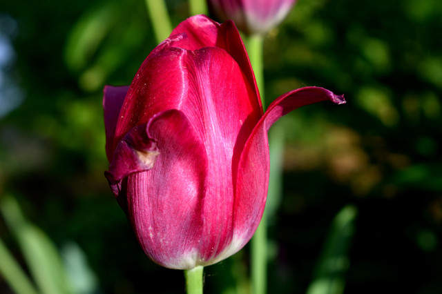 DSC_7064.jpg