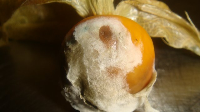 DSC01692.JPG