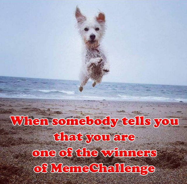 meme 2.jpg