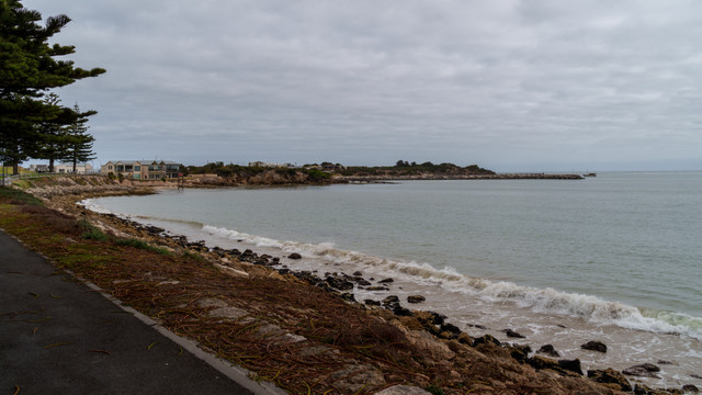 A1V06374.jpg