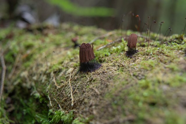 DSC04813.jpg