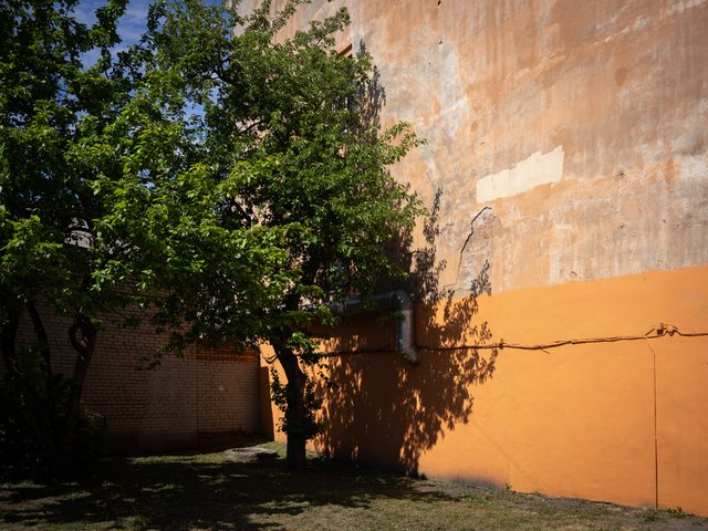 DSC03739.jpg
