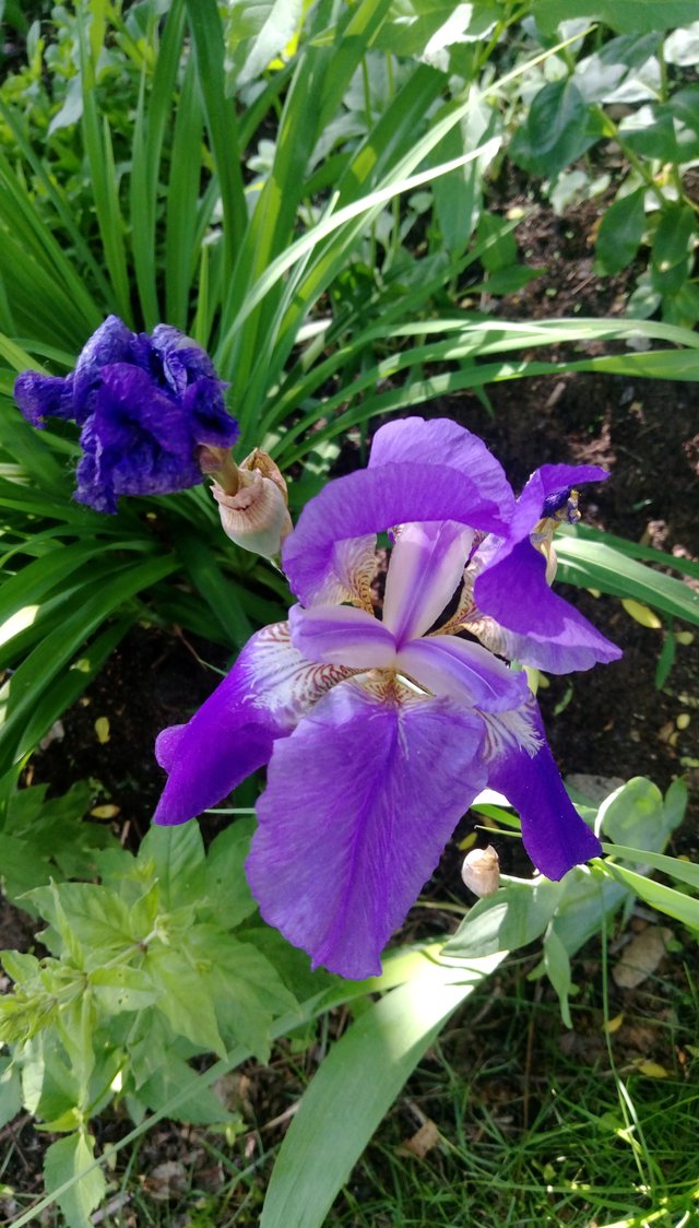 IMAG0152.jpg