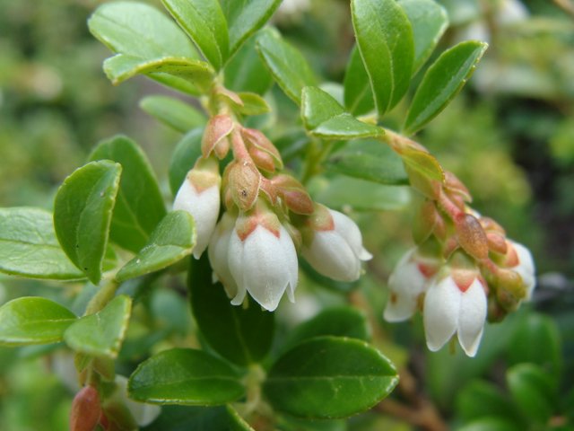 DSC07258.JPG