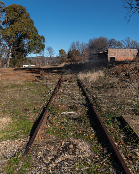 A1V06920.jpg