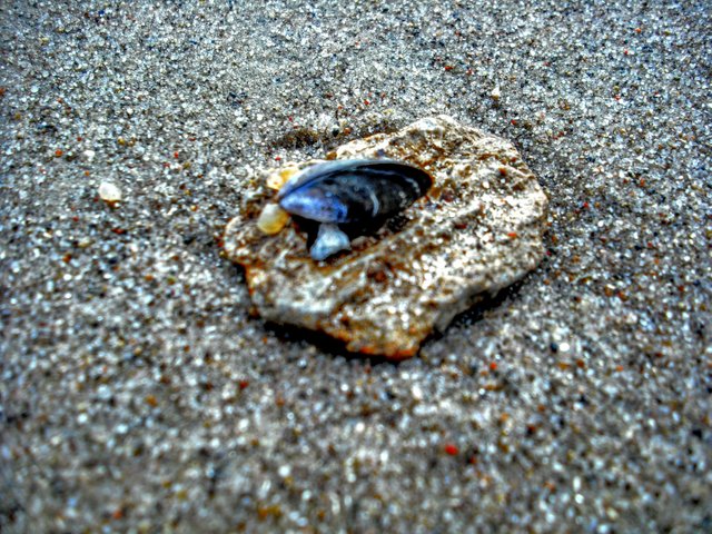 DSCF4162.jpg
