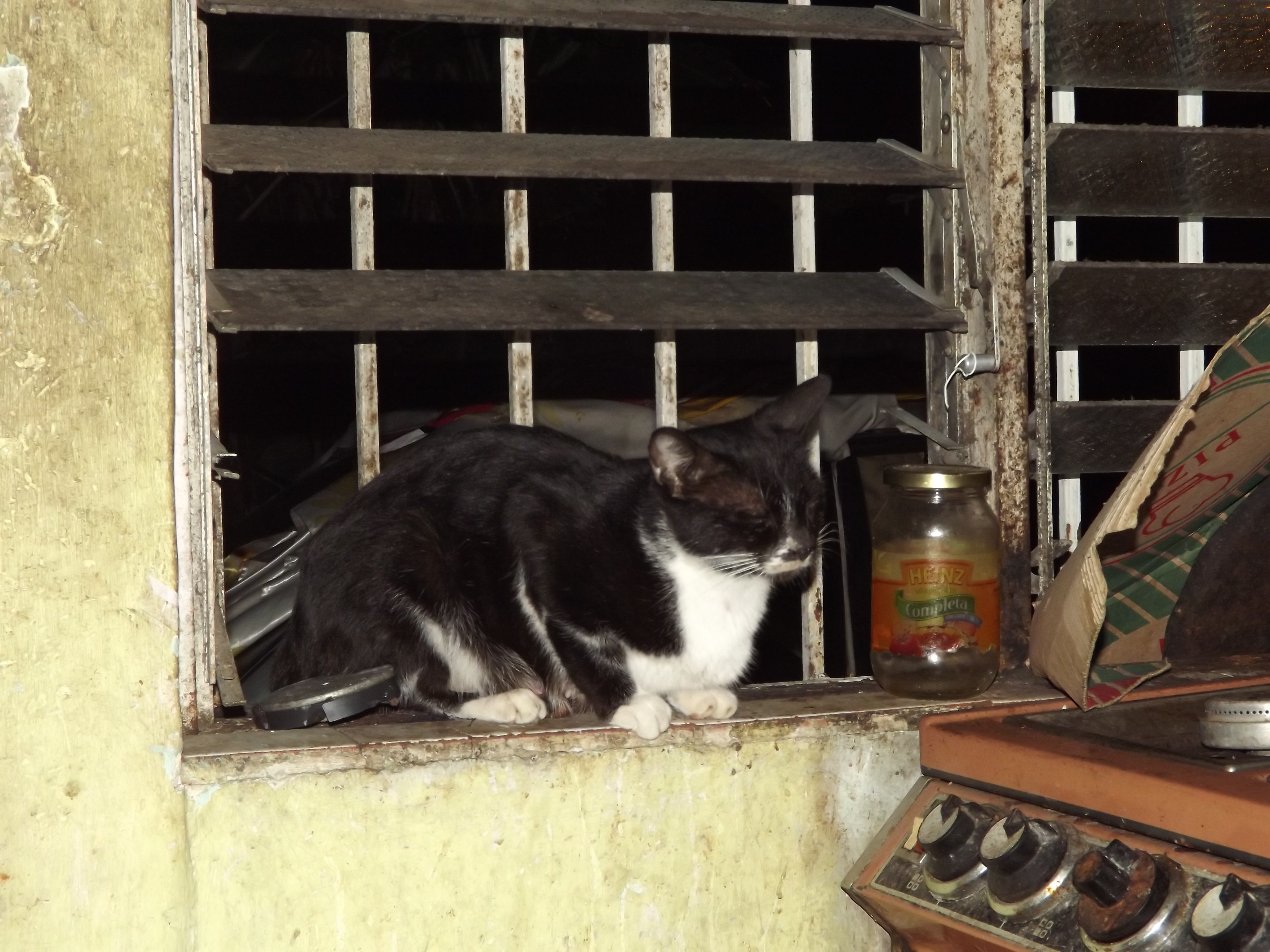 DSCF7908.JPG
