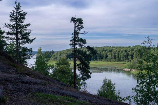DSC08581.jpg