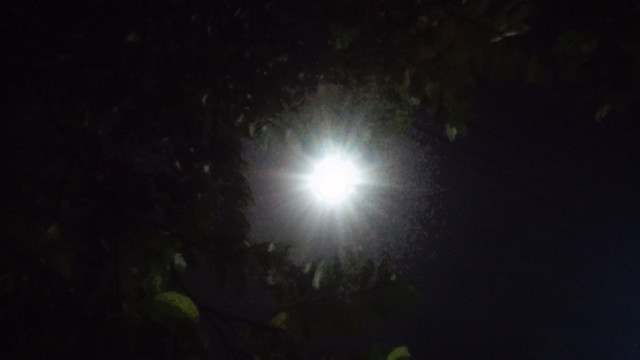 CAM03727.jpg