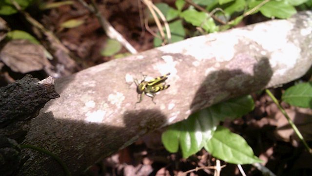 DSCF0066.JPG