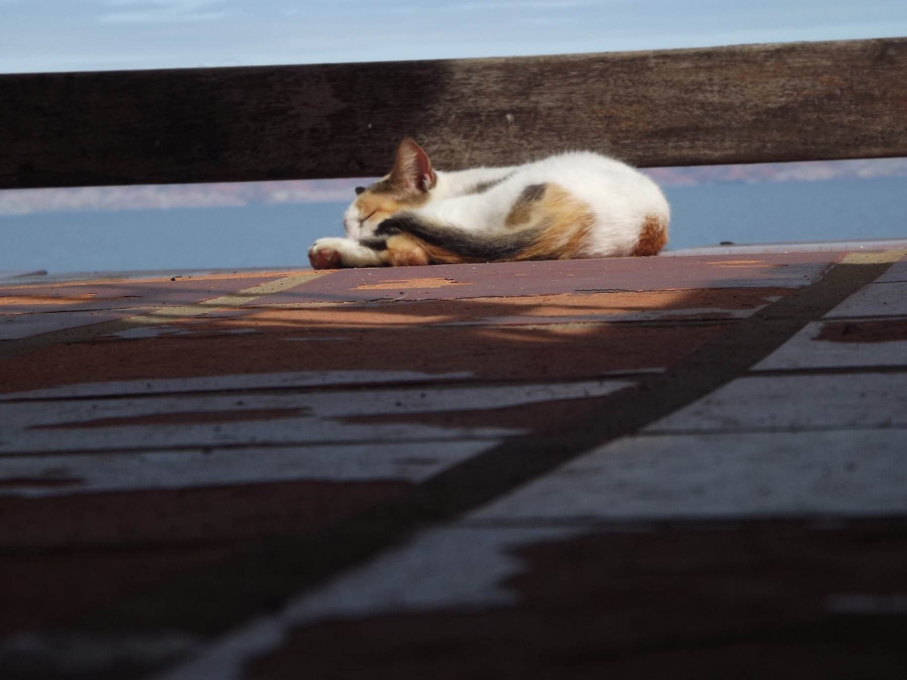 DSCF9228.JPG