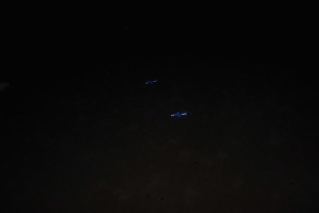 DSCF9769.jpg
