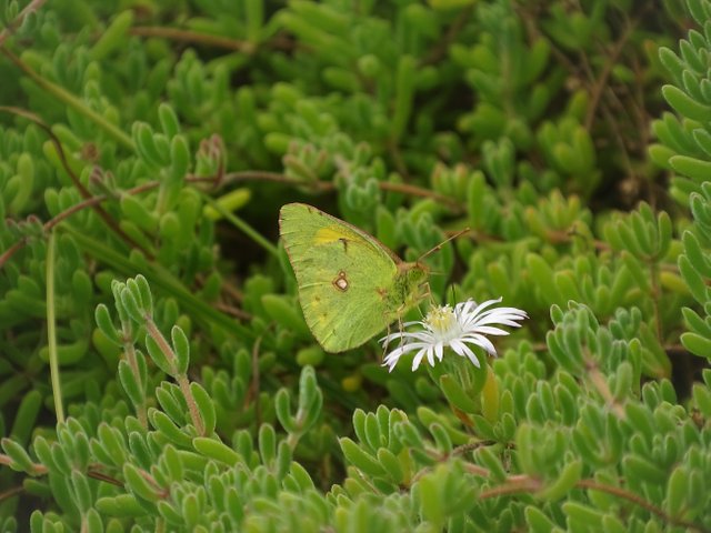 DSC03514.JPG