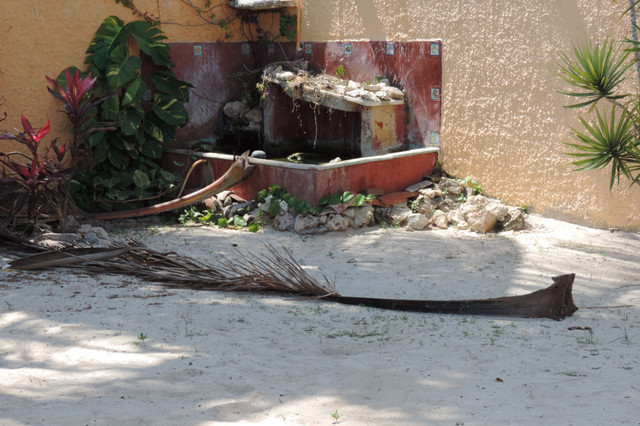 DSCN1268.JPG
