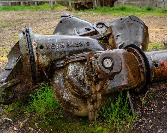 _DSC8732.jpg