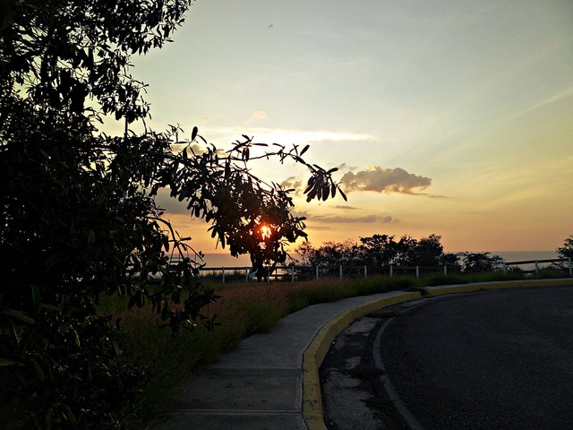 SAM_0912.JPG