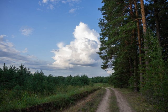 DSC09673.jpg