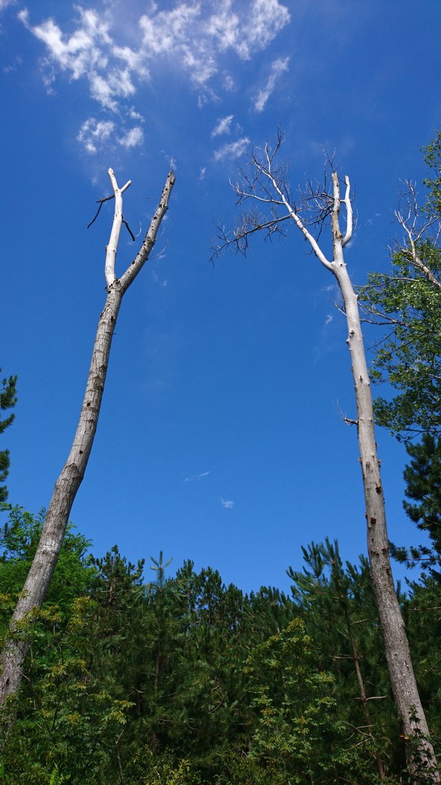 DSC_0372.JPG