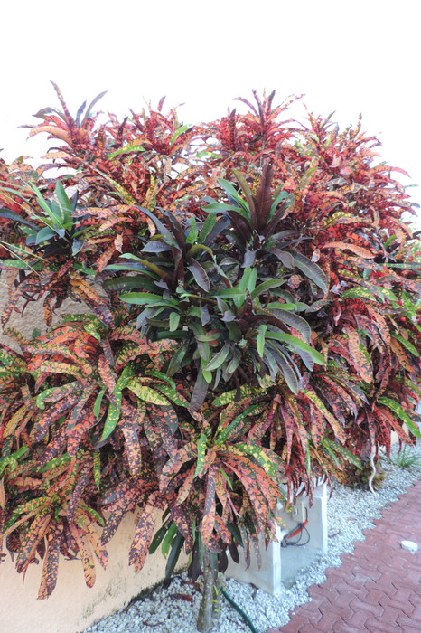 DSCN1236.JPG