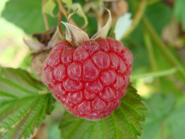 DSC07557.JPG