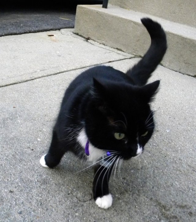 DSCN4391.JPG