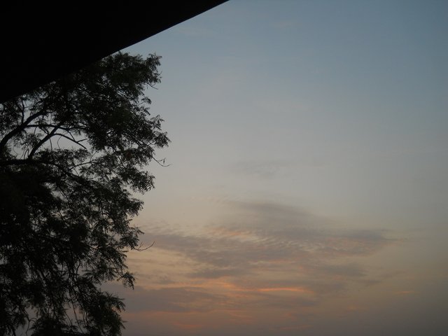 DSCN3523.JPG