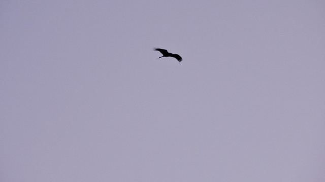 DSCN6446.JPG