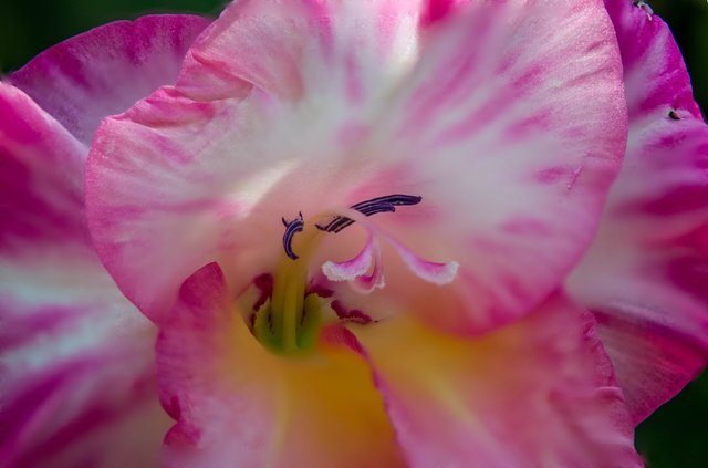 DSC_0044.jpg