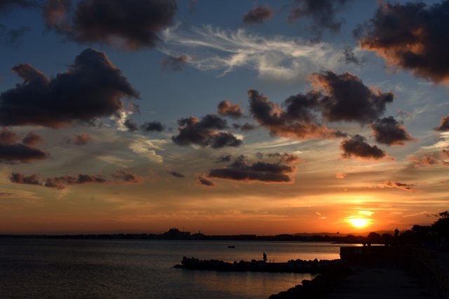 DSC_4170.jpg