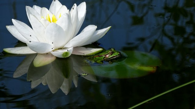 DSC00069.JPG